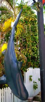 Old Town Key West plastic shark 