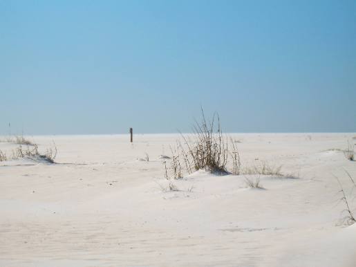 Camp Helen State Park Beach scene near Panama City Beach, FL