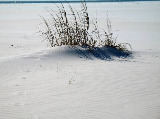 Beach in Camp Helen State Park near Panama City Beach, FL