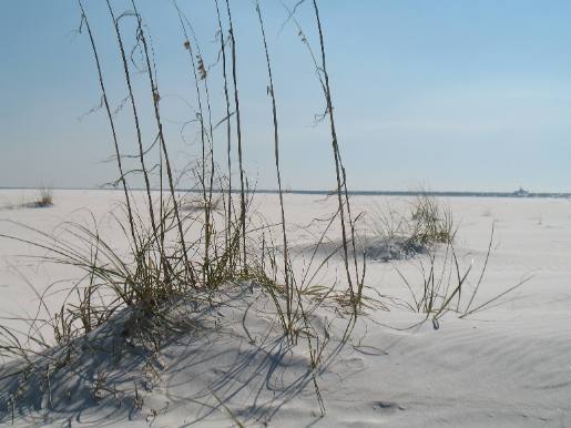 Beach at Camp Helen State Park near Panama City Beach, FL