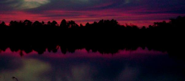 Monument Lake in Everglades National Park