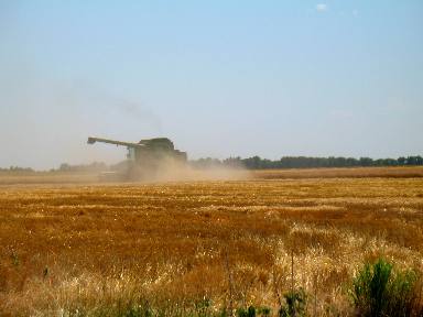 Combine in Kansas wheat field