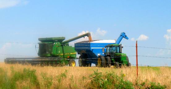 Combine dumping a load of grain