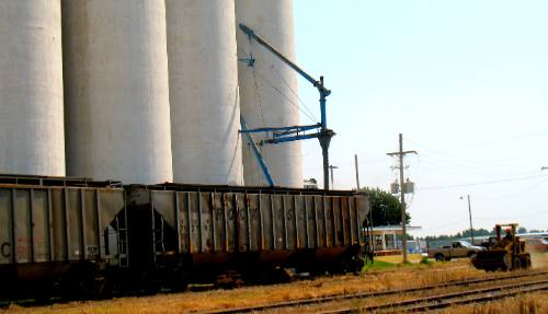 Rail cars being loaded with grain