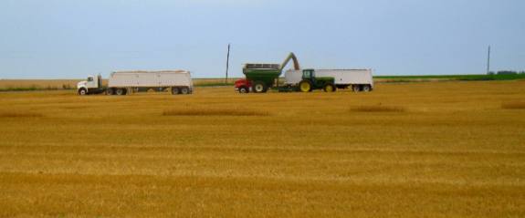Transporting the wheat harvest in Kansas