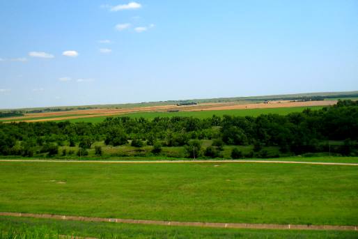 Kansas wheat field