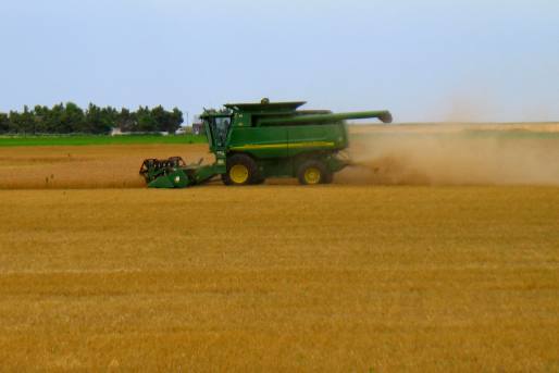 Kansas wheat harvest