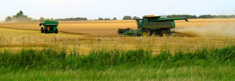 combines Kansas wheat harvest
