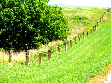 Post Rock Fence