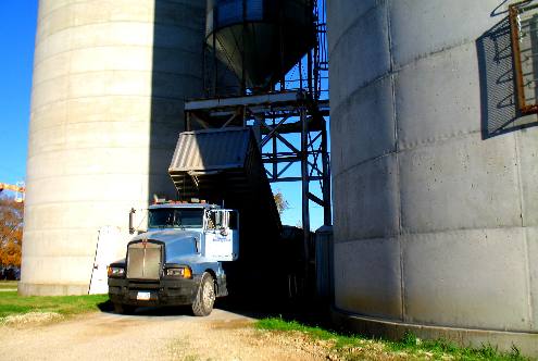 Truck unloading Kansas soy beans