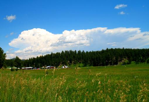 Open field Custer, South Dakota in the Black Hills