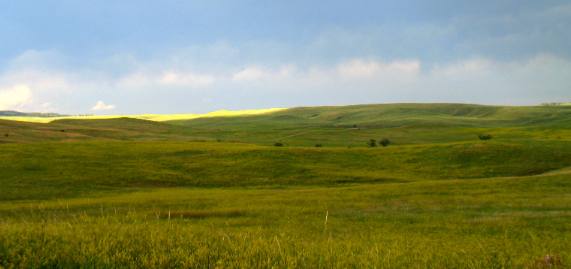 Custer State Park