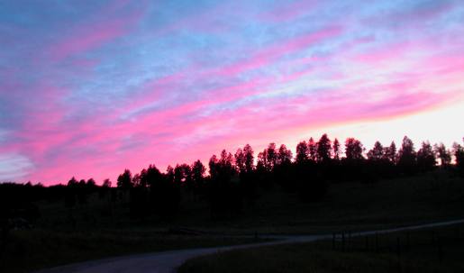 Sunset in Custer State Park