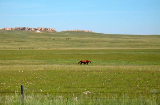 Eastern Wyoming landscape with volcanic ash visible on horizon