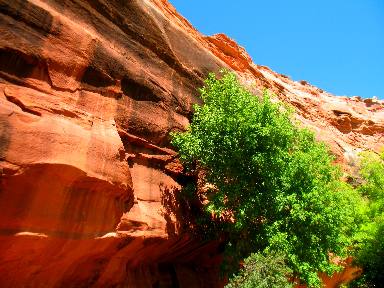 Red sandstone cliffs of Ayers Natural Bridge Park near Douglas, Wyoming