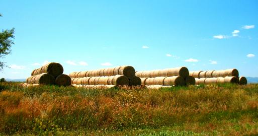 Hay being layed up along Palmer Canyon Road out of Wheatland, Wyoming
