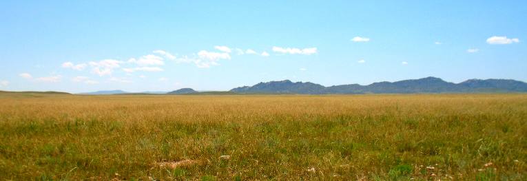 Laramie Range in the background