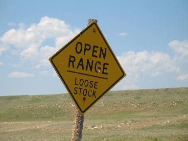 Loose stock and Open Range