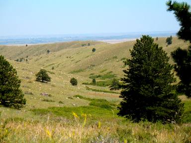 Open Range in foothills of the Laramie Range west of Wheatland, Wyoming