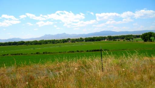 Irrigated Alfalfa west of Wheatland, Wyoming