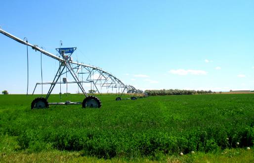 Pivot irrigation system on alfalfa in Wheatland, Wyoming