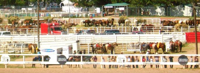 Cheyenne Frontier Days Rodeo bucking horses