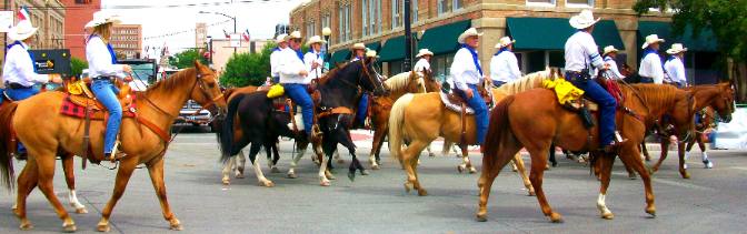 Large group of horses in Cheyenne Frontier Days Parade