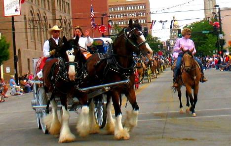 draft horses pulling this waggon in Cheyenne Frontier Days Parade