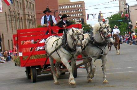 large draft horses in Cheyenne Frontier Days Parade