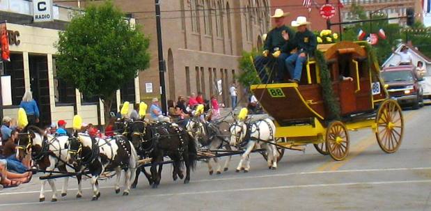 Minature horses and stage coach in Cheyenne Frontier Days Parade