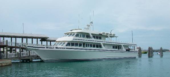 Whale Watcher Key West
