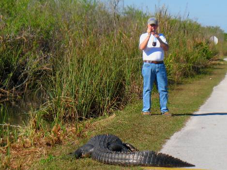 Mike Hendrix Shark Valley Everglades NP