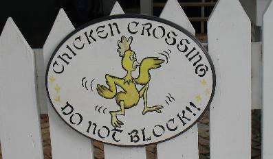 Key West Chicken Crossing sign with Message