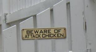 Key West attack Chicken sign 