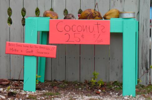 Coconuts for sale on No Name Key