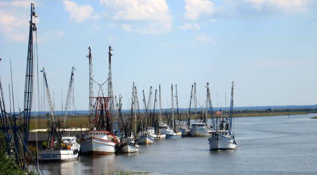 Shrimp Boats Port of Darien