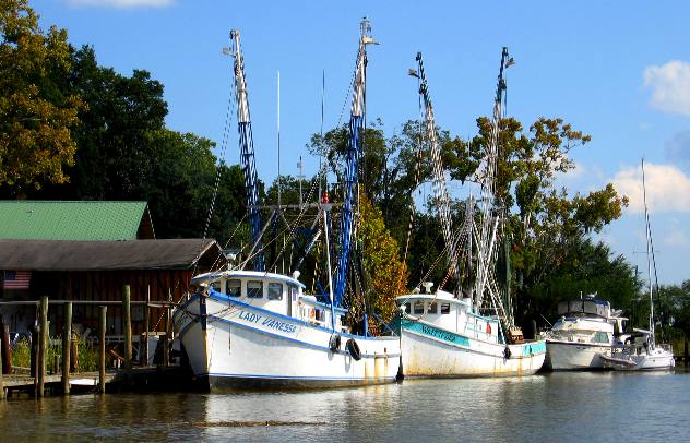 Shrimp Boats on Darien River Darien, Georgia