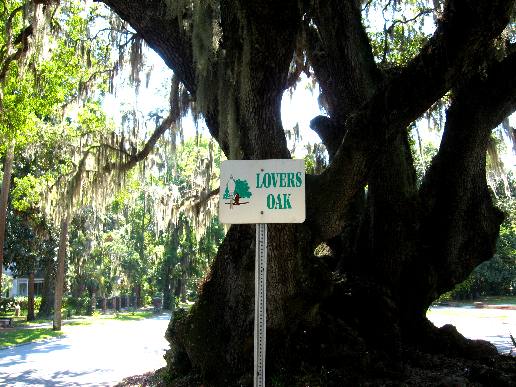 Lovers Oak in Brunswick, Georgia