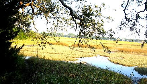 View from the Battle of Bloody Marsh site on St Simons Island, Georgia