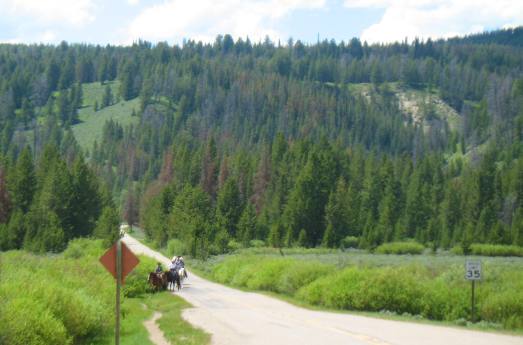 Riders crossing the road through Buffalo Valley near Turpin Meadow Dude Ranch