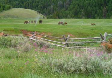 Red Hills Ranch Gros Ventre River