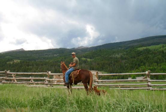 Breaking horses on the Red Hills Ranch