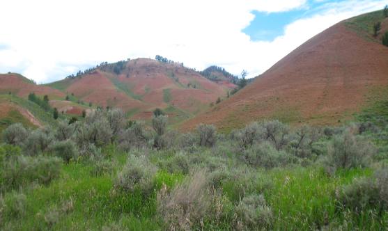 Red Cliffs of the Gros Ventre River Valley
