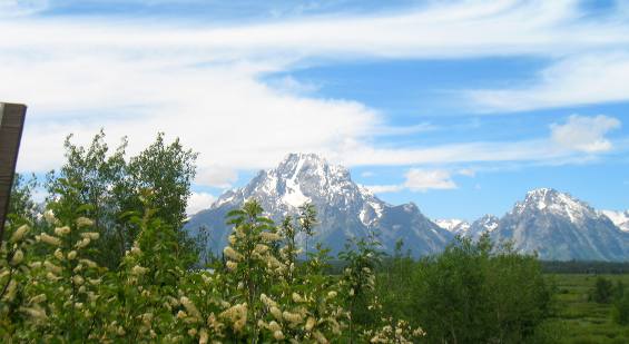 Teton Mountains and Mt Moran viewed from pullout south of Jackson Lake Lodge