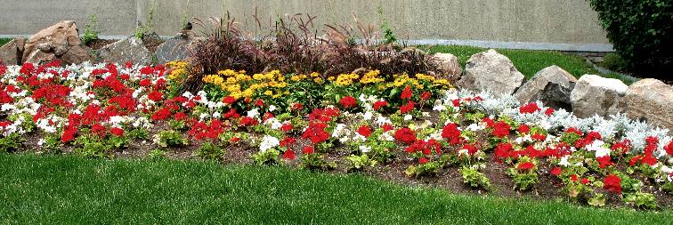 Flower bed at Coors Brewery in Golden, Colorado