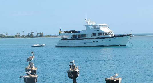 This is a nice trawler complet with dingy visiting Fort Jefferson