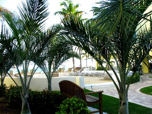 Landscaping around Southernmost Hotel on the Beach