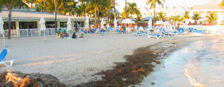 Southernmost Beach and the Southernmost Beach Cafe & Bar