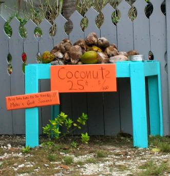 Coconuts for sale in front of a home on No Name Key