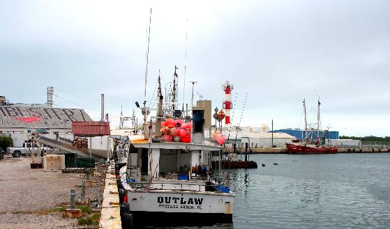 Commercial longline boat operating out of Stock Island